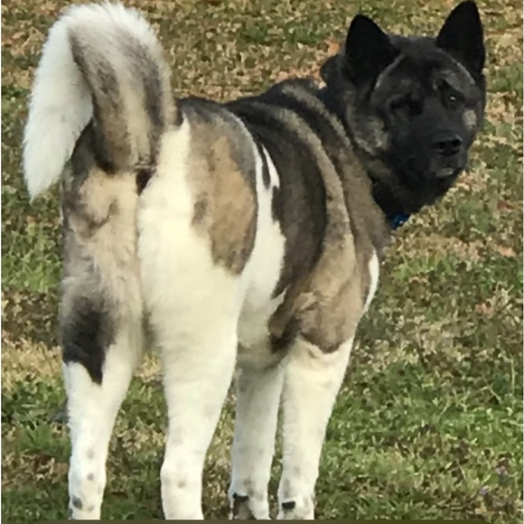 Meet your Posher, Robert - Picture 1 of 1